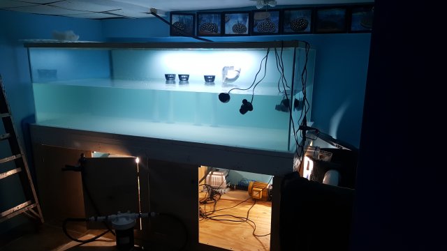 20160730_205736.jpg