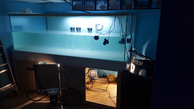 20160730_205732.jpg