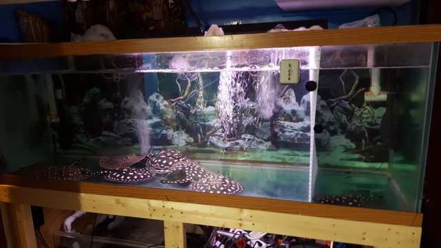20160729_210901.jpg