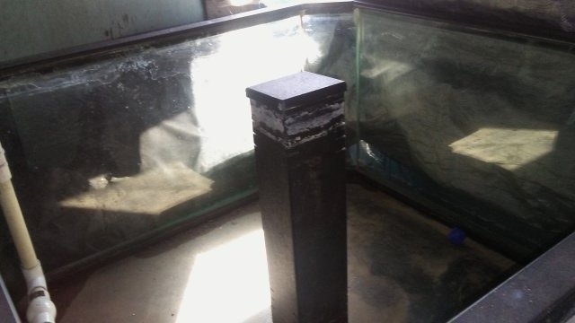 20160624_164939.jpg