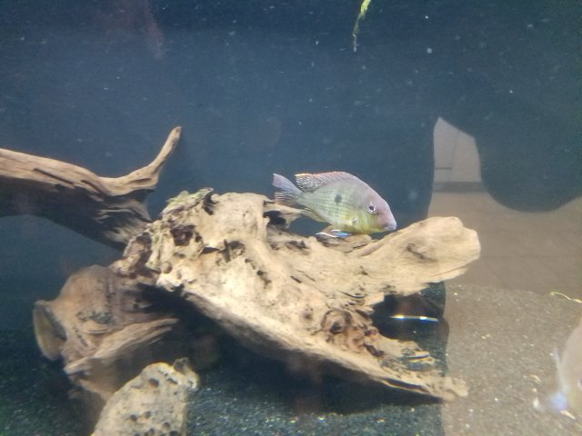 20160731_131435.jpg 20160731_131435.jpg