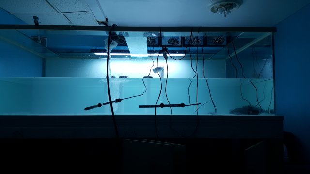 20160731_170449.jpg