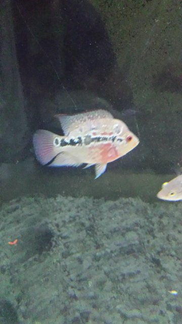 20160730_224054.jpg