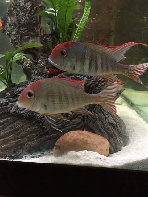 image.jpeg image.jpeg