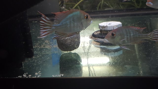 20160725_211726.jpg 20160725_211726.jpg