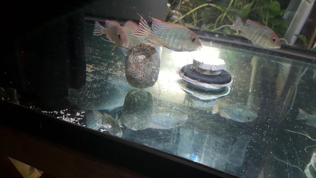 20160725_212049.jpg 20160725_212049.jpg