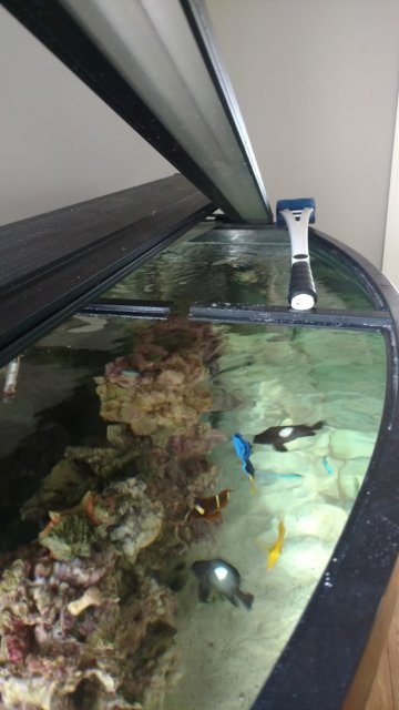 IMG_20160803_123114309 (Medium).jpg