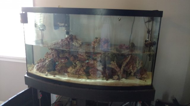 IMG_20160804_130448325 (Medium).jpg