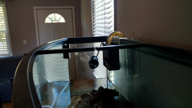 IMG_20160804_130453534_HDR (Medium).jpg