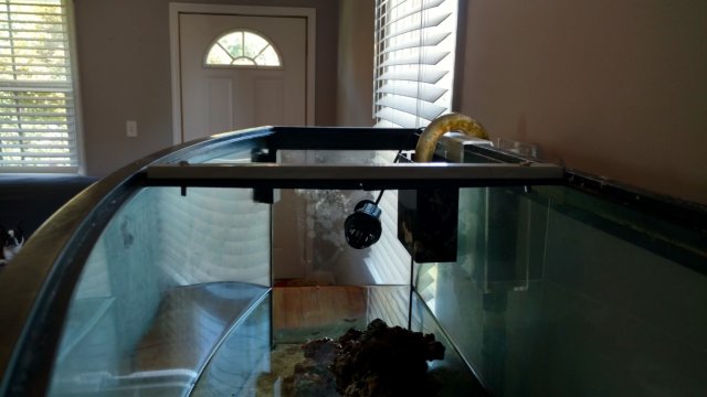 IMG_20160804_133440363_HDR (Medium).jpg