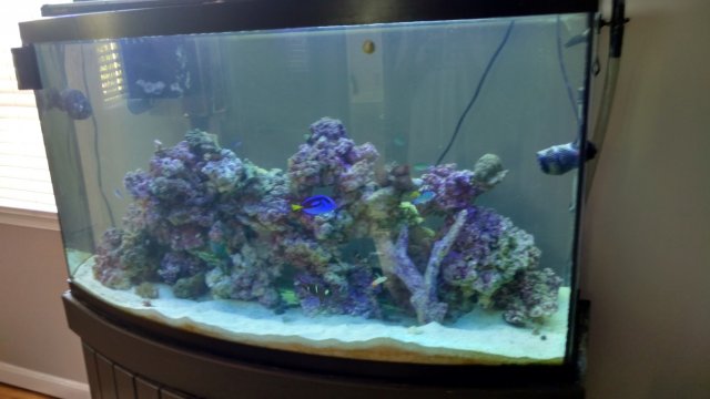 IMG_20160804_143349378_HDR (Medium).jpg