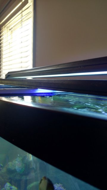 IMG_20160804_143400085_HDR (Medium).jpg