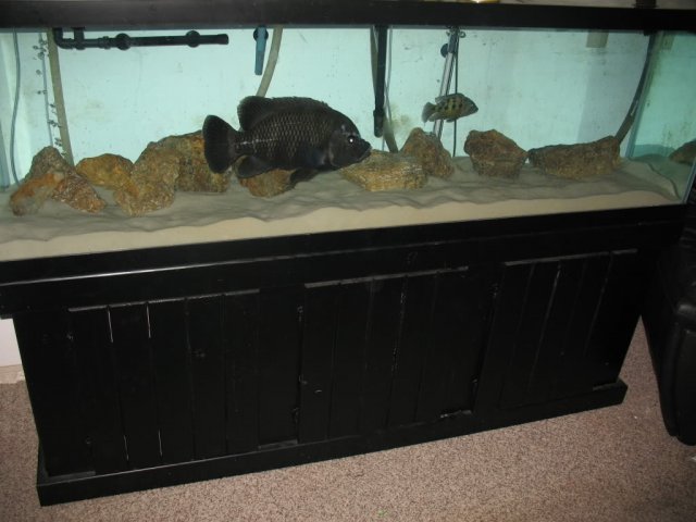 image.jpeg image.jpeg