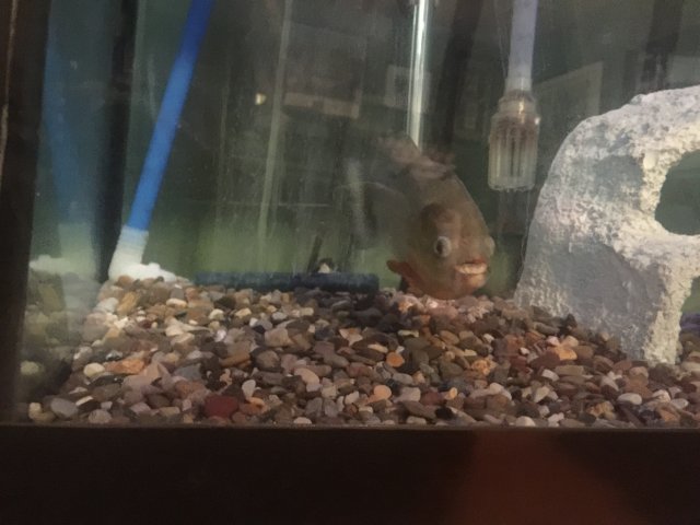 image.jpeg image.jpeg