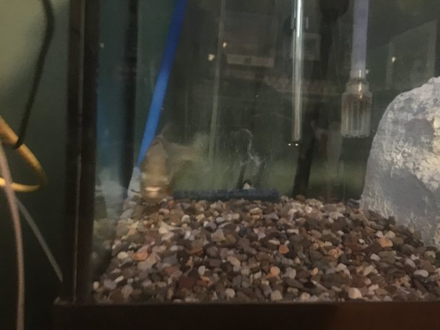 image.jpeg image.jpeg