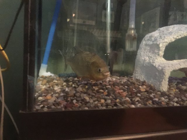 image.jpeg image.jpeg