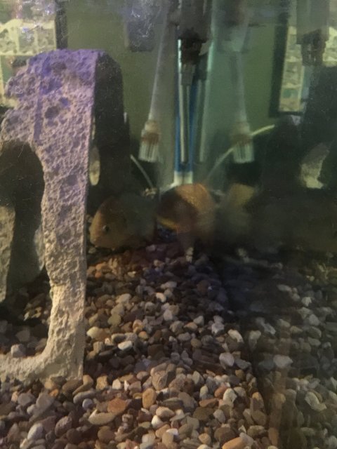 image.jpeg image.jpeg