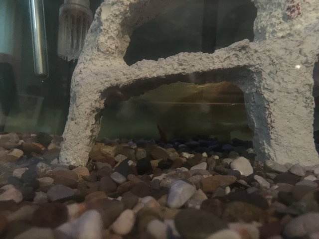 image.jpeg image.jpeg