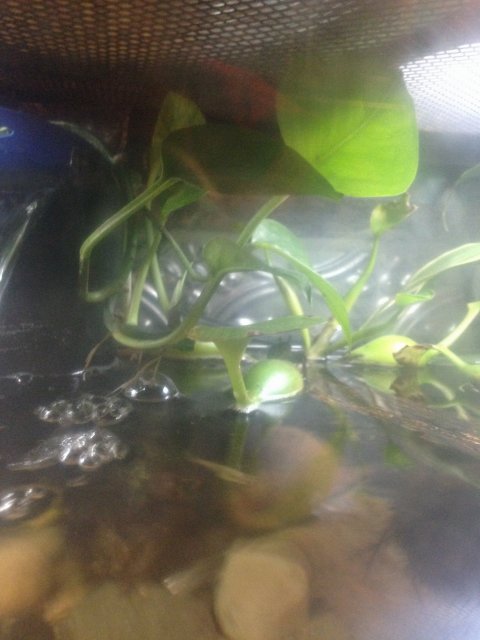 image.jpeg image.jpeg