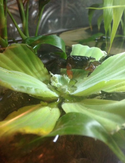 image.jpeg image.jpeg