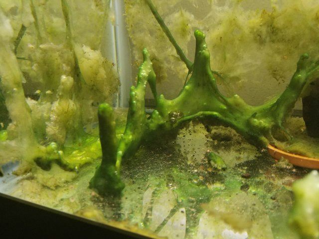 20160807_204044.jpg