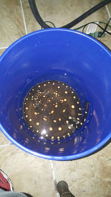 Resized_20160801_201853.jpeg