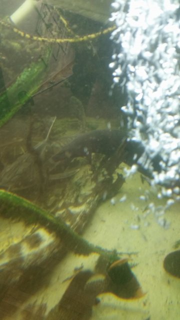 20160810_113930.jpg