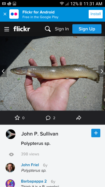 Screenshot_20160810-113137.png