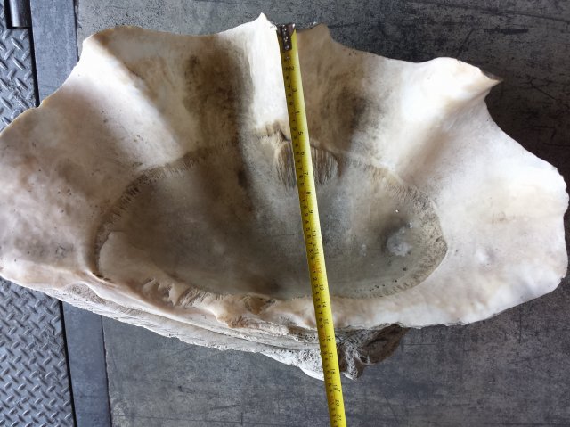 20160810_151819.jpg