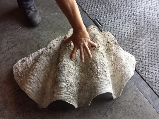 20160810_151919.jpg
