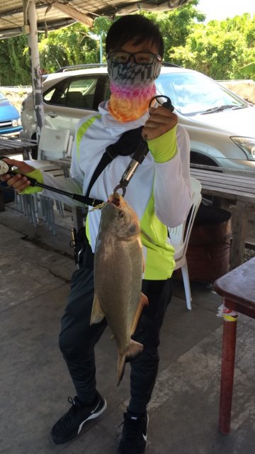 Pacu On Spoon.JPG Pacu On Spoon.JPG