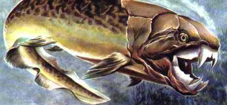 dinichthys.jpg