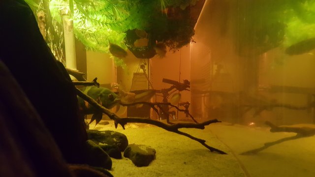 20160812_021214.jpg