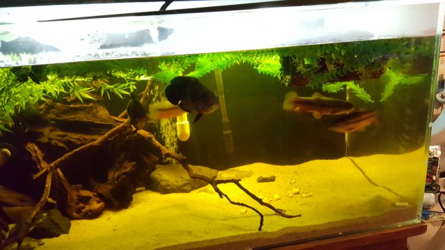 20160812_021119.jpg