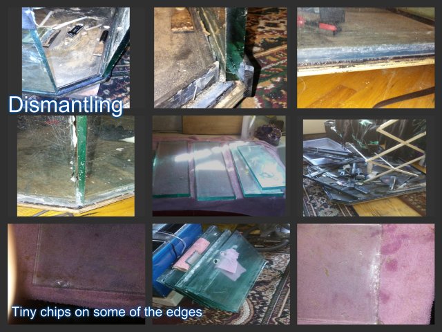 pizap.com14710255269131.jpg