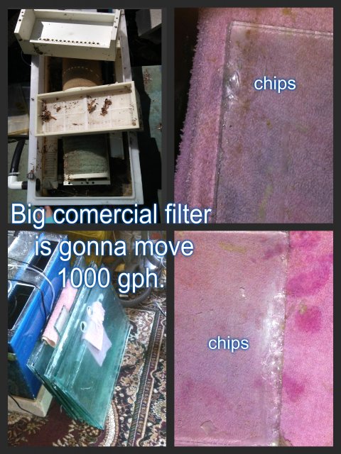 pizap.com14710318234491.jpg