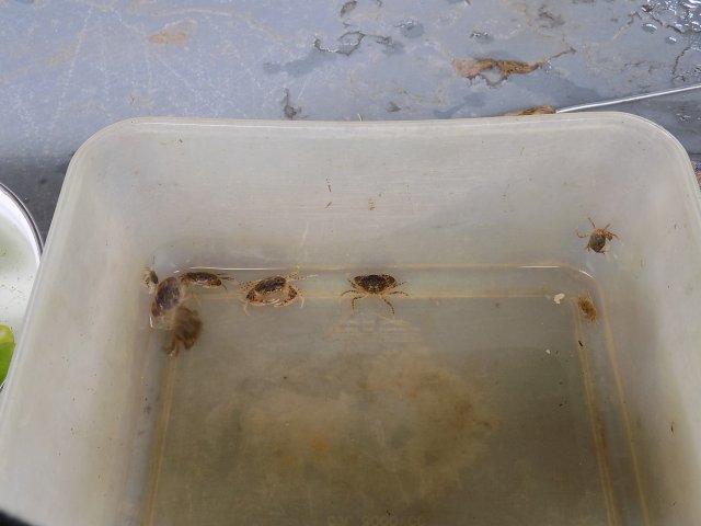 DSCN0755.JPG