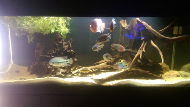 IMAG0836.jpg