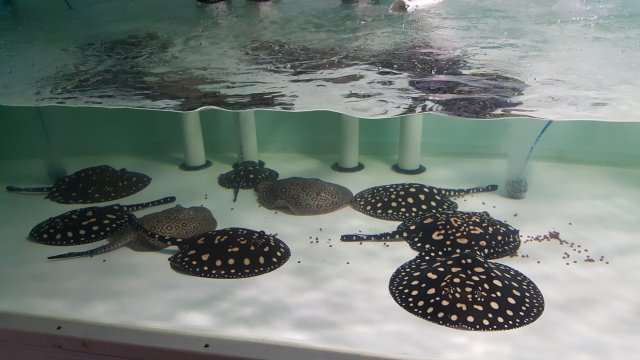 20160813_123845.jpg