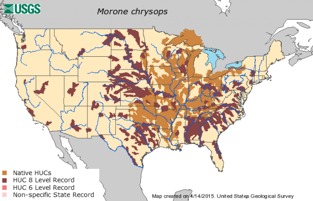 GetStaticMap.png