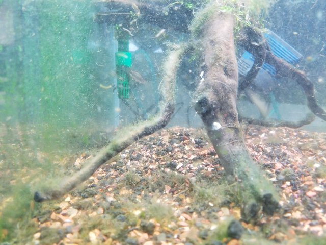 20160809_181549.jpg