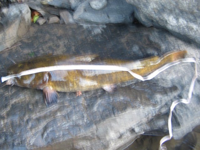 STB_1718.JPG