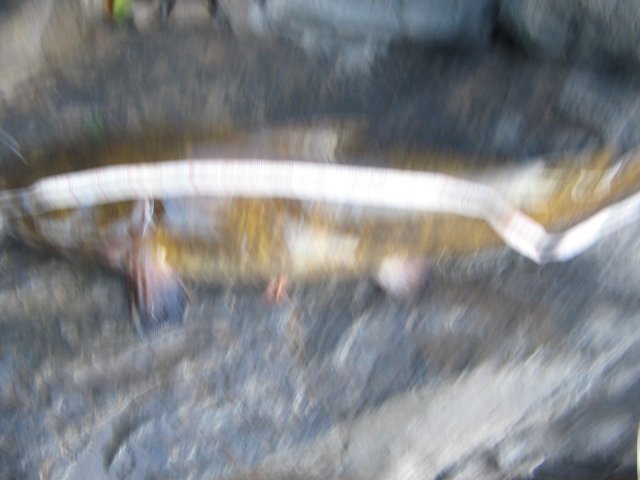 STA_1717.JPG