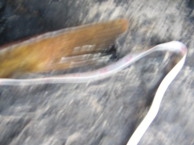 STD_1720.JPG