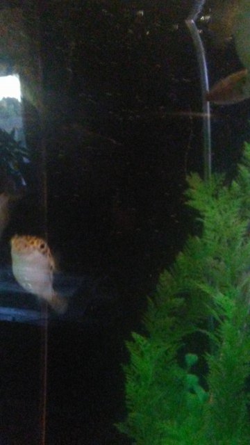 20160814_195237 (1).jpg