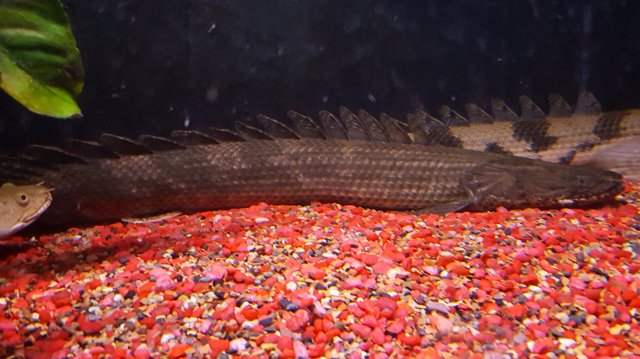20160816_133825.jpg 20160816_133825.jpg