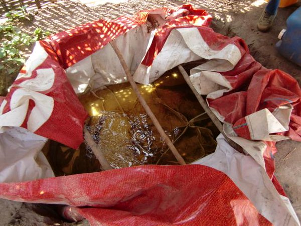 Guinea-Bissau fishermen have stock Ansorugi.jpg