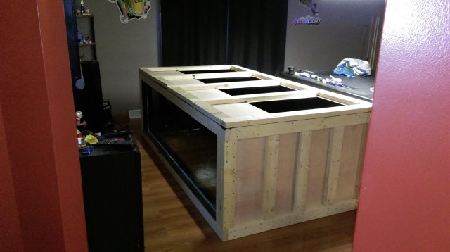 20160427_234014716_iOS.jpg 20160427_234014716_iOS.jpg