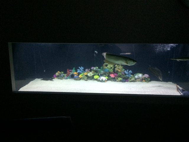 20160816_011719447_iOS.jpg 20160816_011719447_iOS.jpg