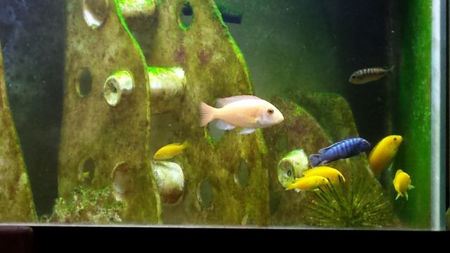 20160818_182926.jpg